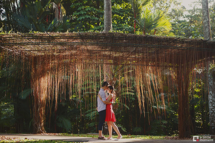 Singapore Botanic Gardens Casual Pre-Wedding