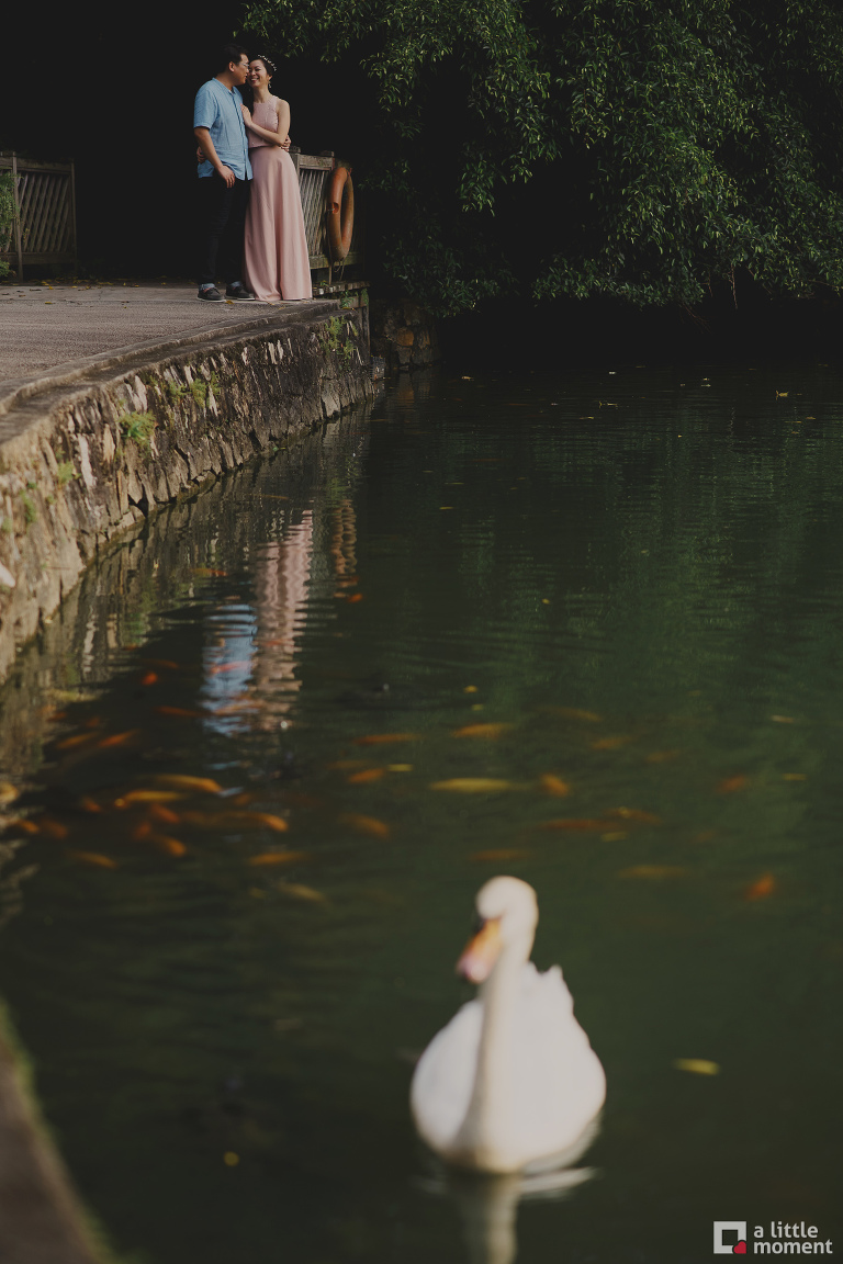 Singapore Botanic Gardens Engagement Session